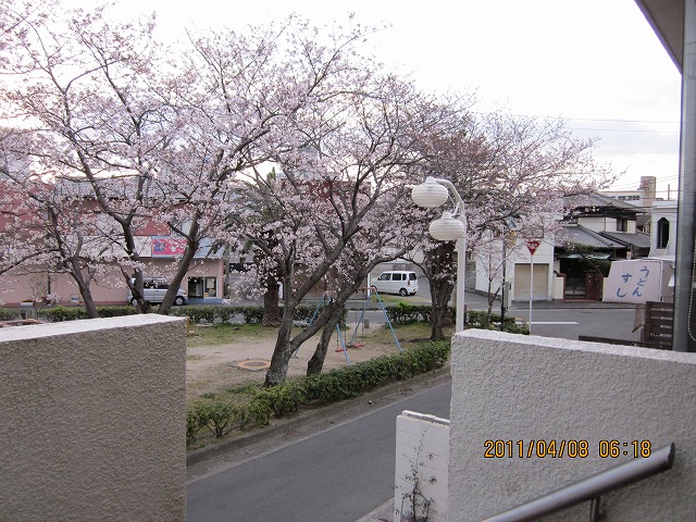 d0172010_844638.jpg