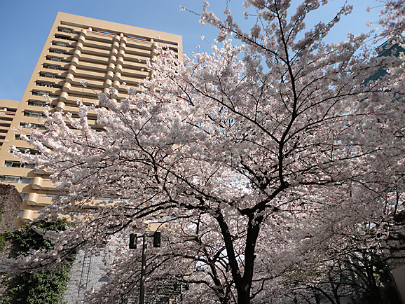 e0230011_1723041.jpg