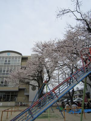 はなまつり。_b0131012_14595686.jpg