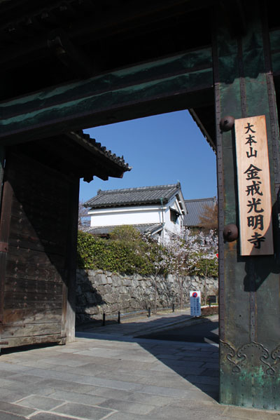 京の花だより　金戒光明寺_e0048413_2281938.jpg