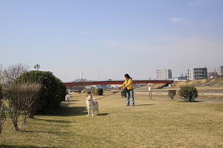 f0191413_10331069.jpg