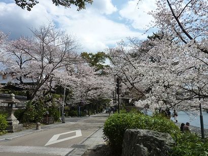 a0177314_18412921.jpg