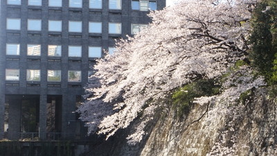 b0074017_17435869.jpg