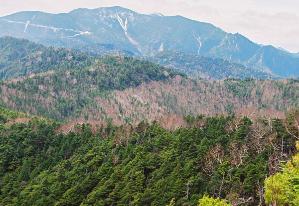 奥秩父連峰の主峰の縦走_a0113718_19444043.jpg