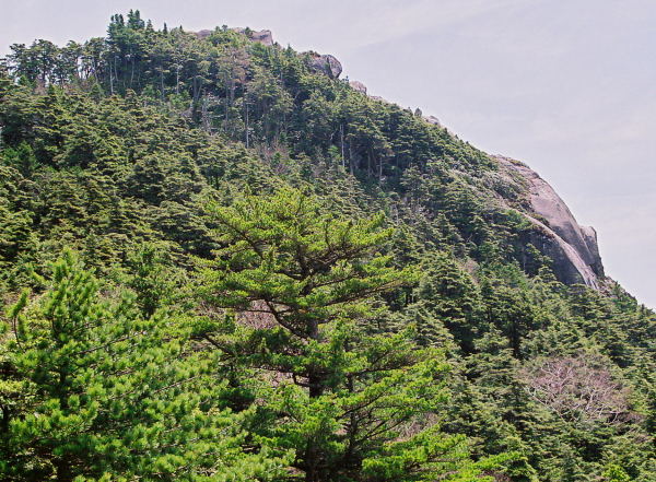 奥秩父連峰の主峰の縦走_a0113718_19451793.jpg