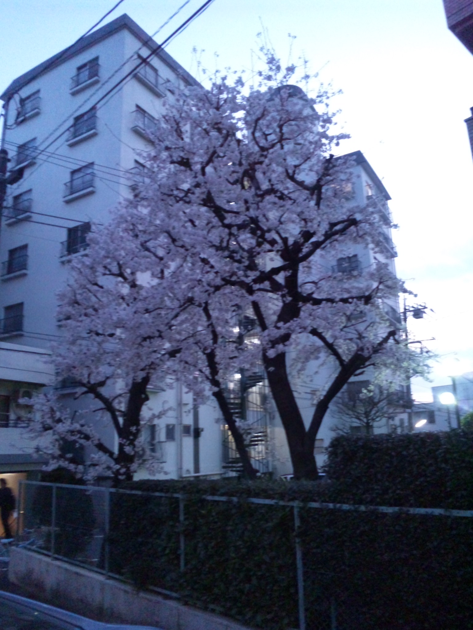 b0154418_0122832.jpg