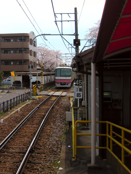 b0186119_2014459.jpg