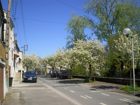 c0124619_43508.jpg