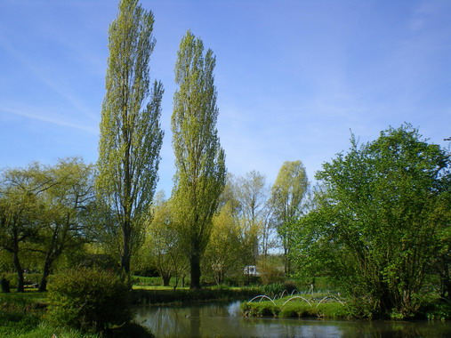 c0124619_5163635.jpg