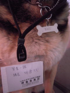 c0090220_10513138.jpg