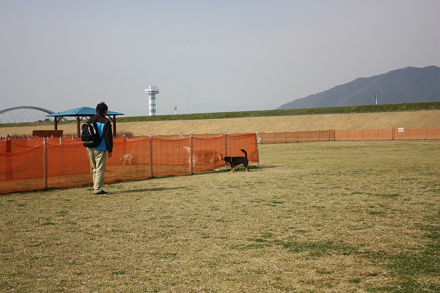 e0162524_12261785.jpg