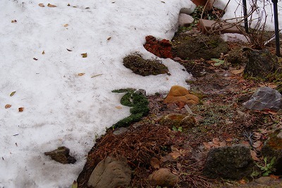 f0170524_14391980.jpg