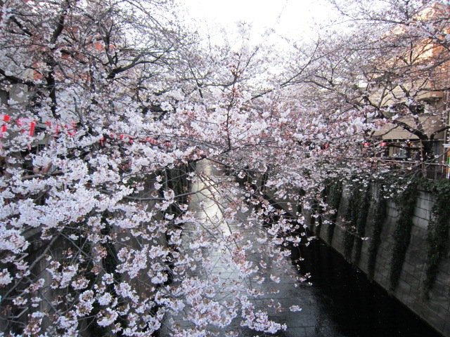 震災後の東京出張_f0191324_857574.jpg