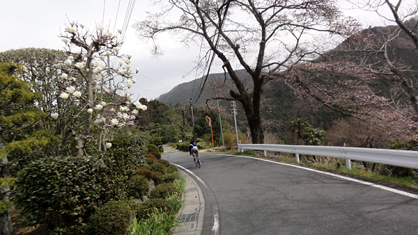 e0089826_21193612.jpg