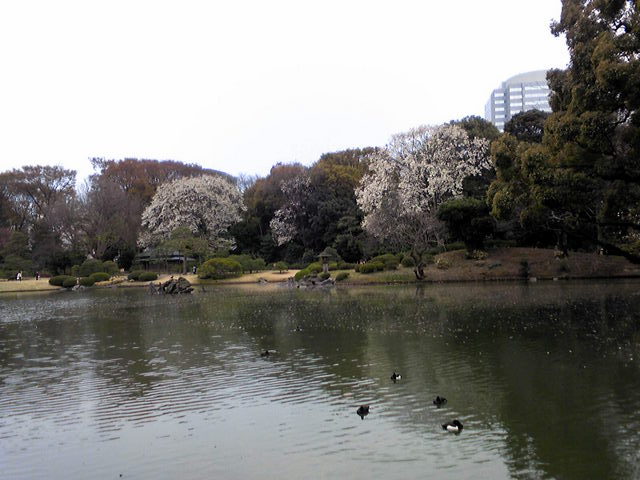c0039428_22471758.jpg
