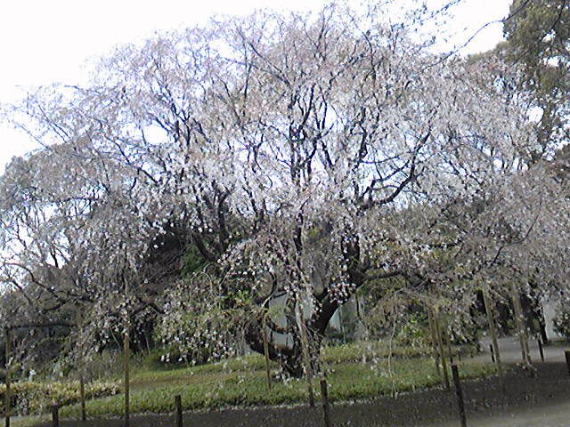 c0039428_22472135.jpg