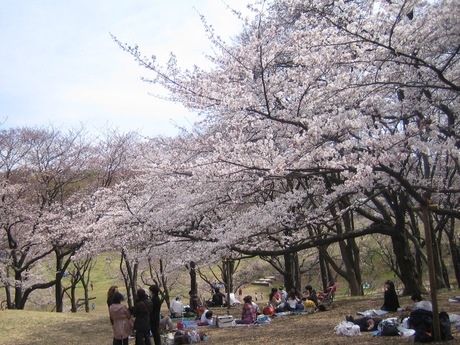 日記 4月8日_c0130833_6332420.jpg