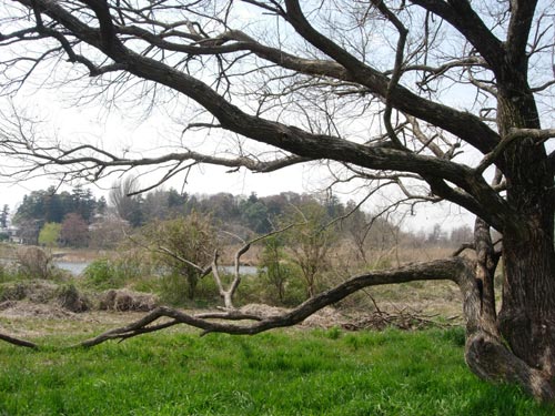 e0097534_11103134.jpg