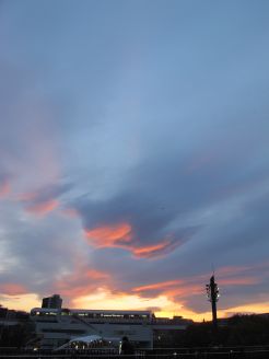 a0088435_19285640.jpg