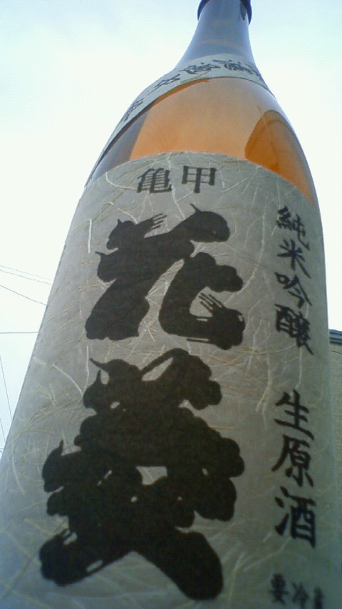 e0173738_10301676.jpg