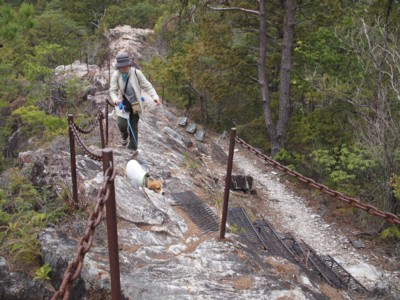 c0119142_6322440.jpg