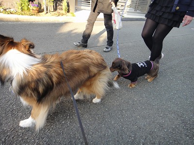 仲良しさん&大きな桜の木~!_e0195743_232759.jpg