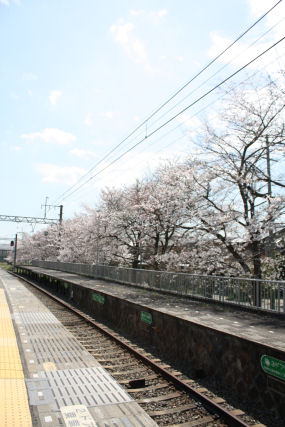 c0073649_1651810.jpg