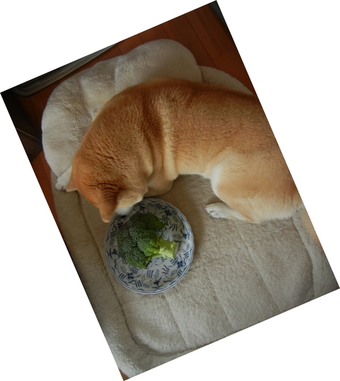 4月8日(金)晩御飯は何?_f0060461_12351455.jpg