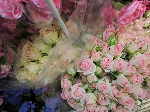 a0152665_17531510.jpg