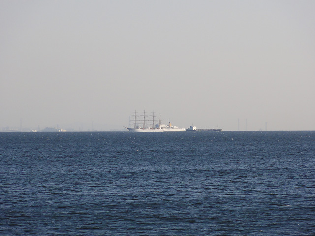 b0006870_0371316.jpg