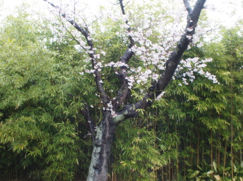 d0163670_18143171.jpg