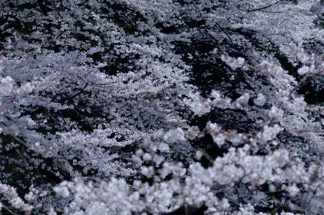 e0163776_20244646.jpg