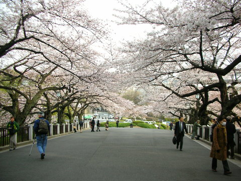 b0215577_09278.jpg