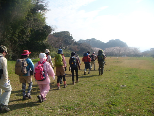 四王寺山花見登山_f0153479_1442442.jpg