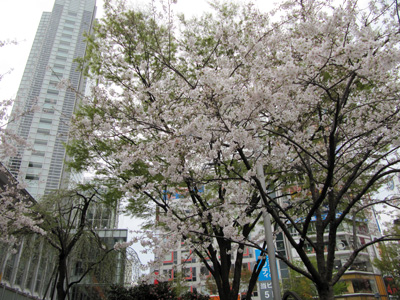 b0056983_11353816.jpg