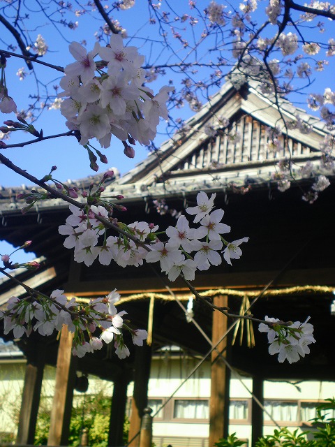 a0082884_1143339.jpg