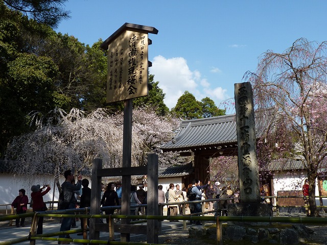 e0061694_1114113.jpg