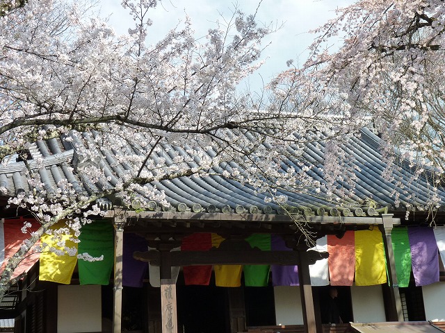 e0061694_11195526.jpg