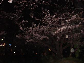 f0110396_22331567.jpg