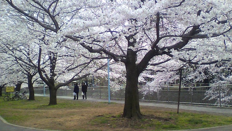 f0108399_63143.jpg