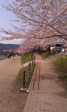 a0200204_16362052.jpg