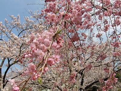 c0187004_21314279.jpg