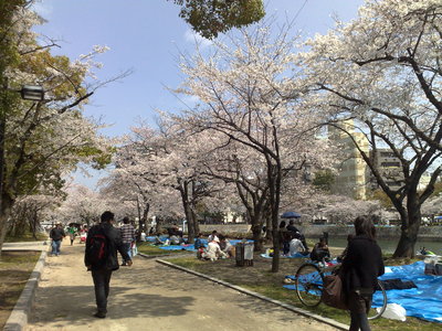 平和公園の桜_a0002105_21414561.jpg