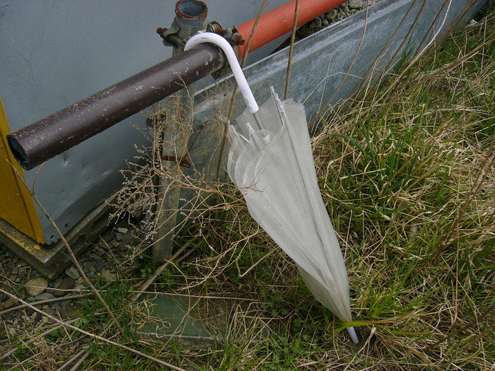 e0108705_8445999.jpg