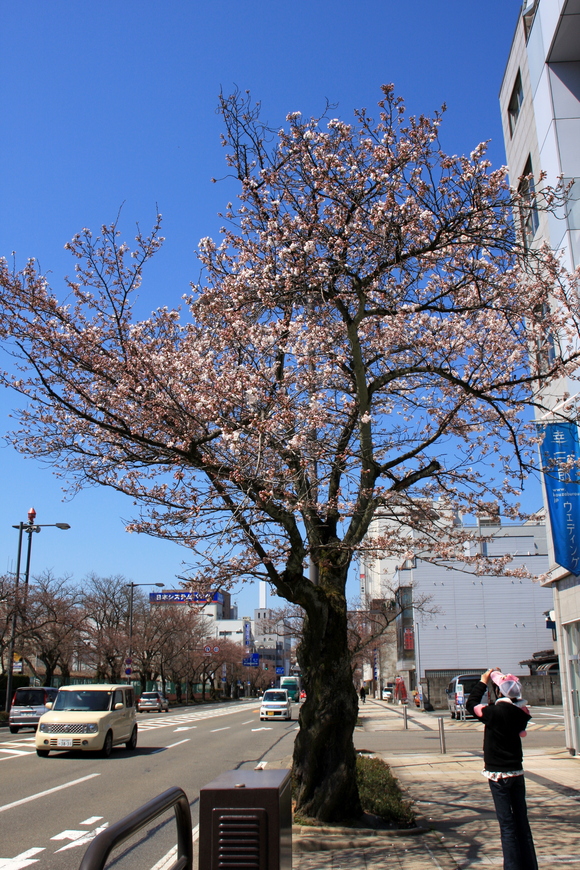 a0156710_11234879.jpg