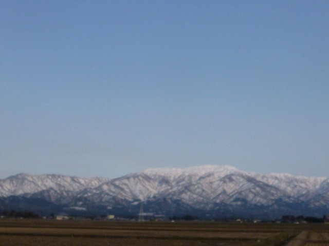 a0098513_2003280.jpg