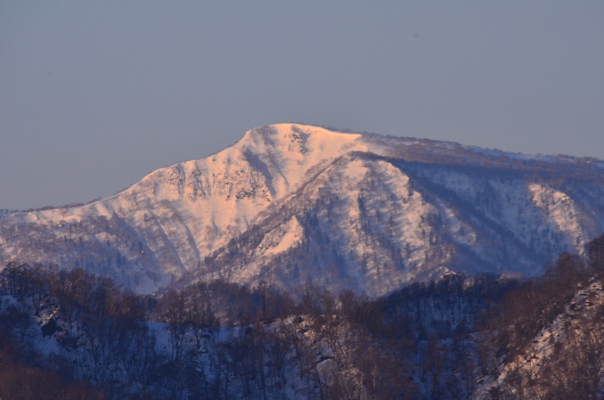 a0151913_55039100.jpg