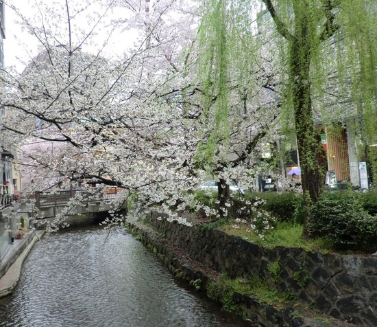 花ざかりに京を見やりてよめる_d0220714_2492430.jpg