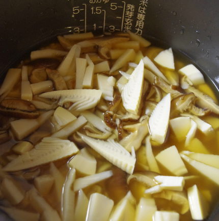 ヒナのリクエストで!炊飯器で作るたけのこご飯_f0168317_11291820.jpg
