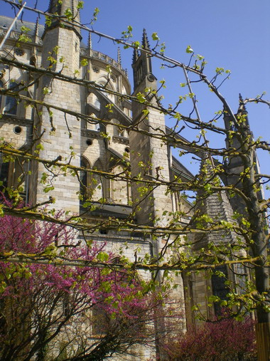 c0124619_4353041.jpg